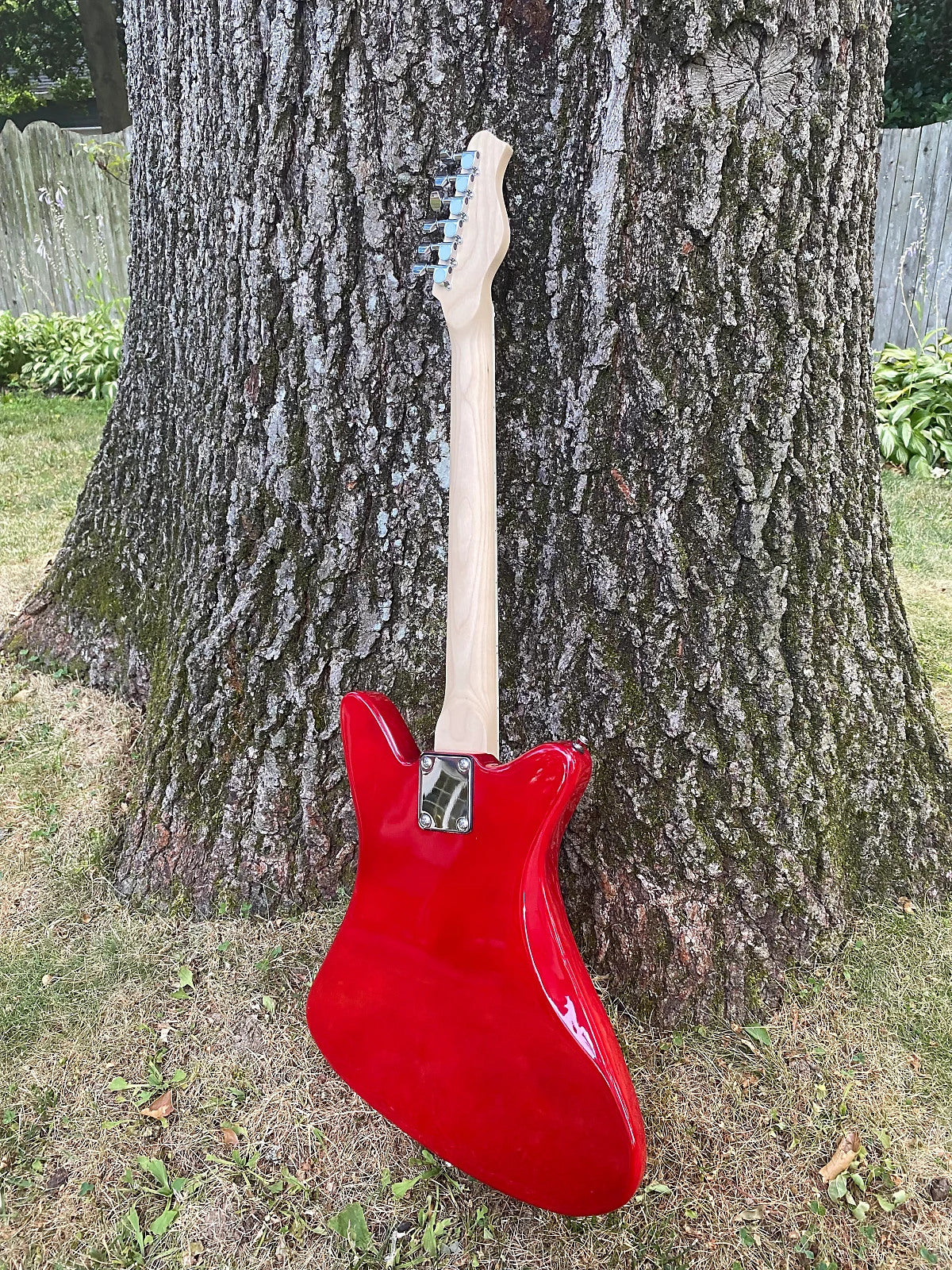 Goldfinch Guitar 2022 Painted Lady Cherry Red